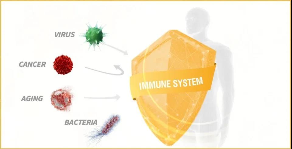 《天然免疫研究，任重道远—— ABclonal系列学术资源集合上线，助力天然免疫研究！》